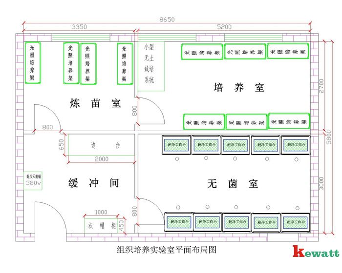 植物細(xì)胞實(shí)驗(yàn)室平面設(shè)計(jì)圖