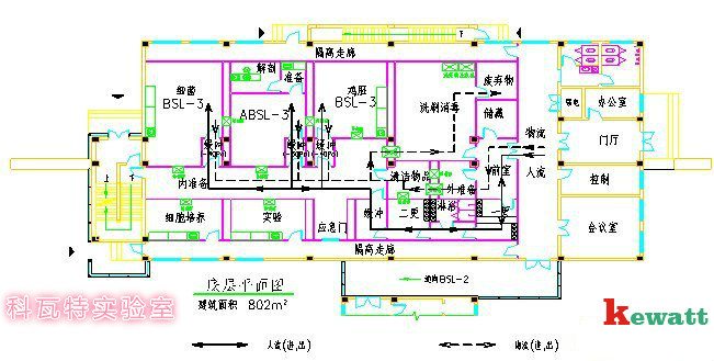 P3生物安全實驗室設(shè)計圖