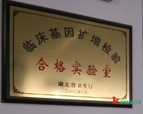 臨床基因擴(kuò)增實驗室認(rèn)證資質(zhì)